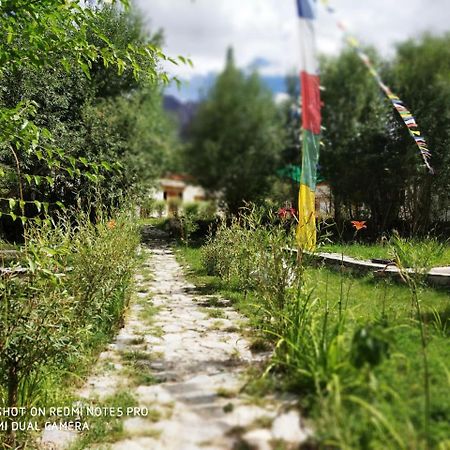 Lotus Eco Resort Hundar Bagian luar foto
