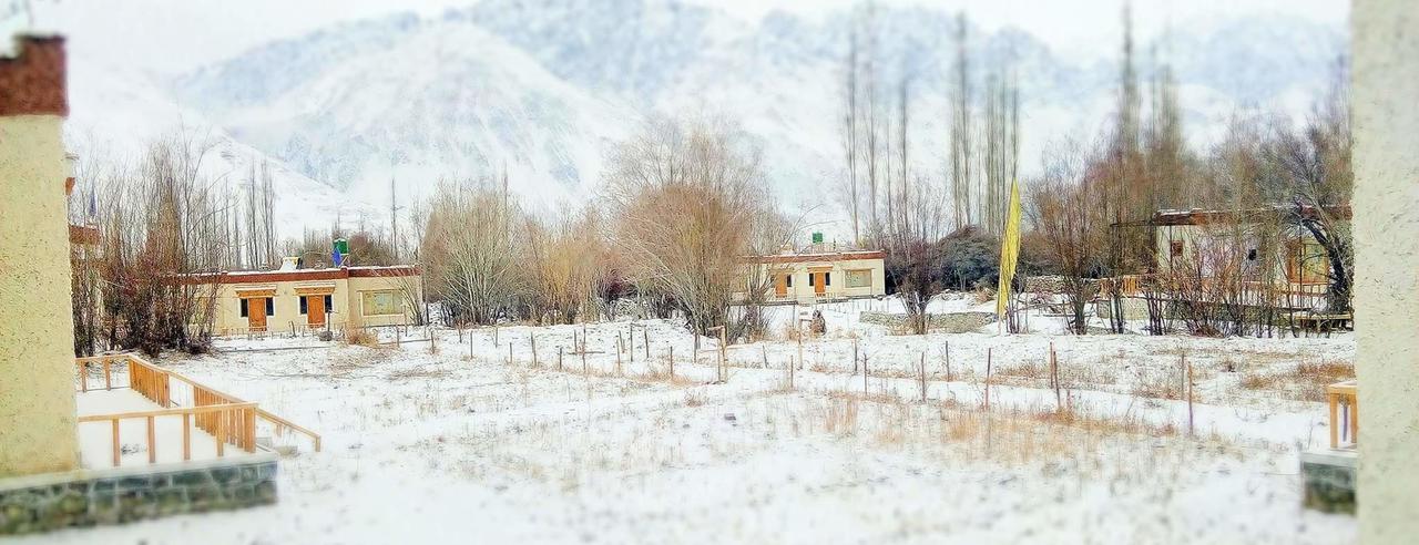 Lotus Eco Resort Hundar Bagian luar foto