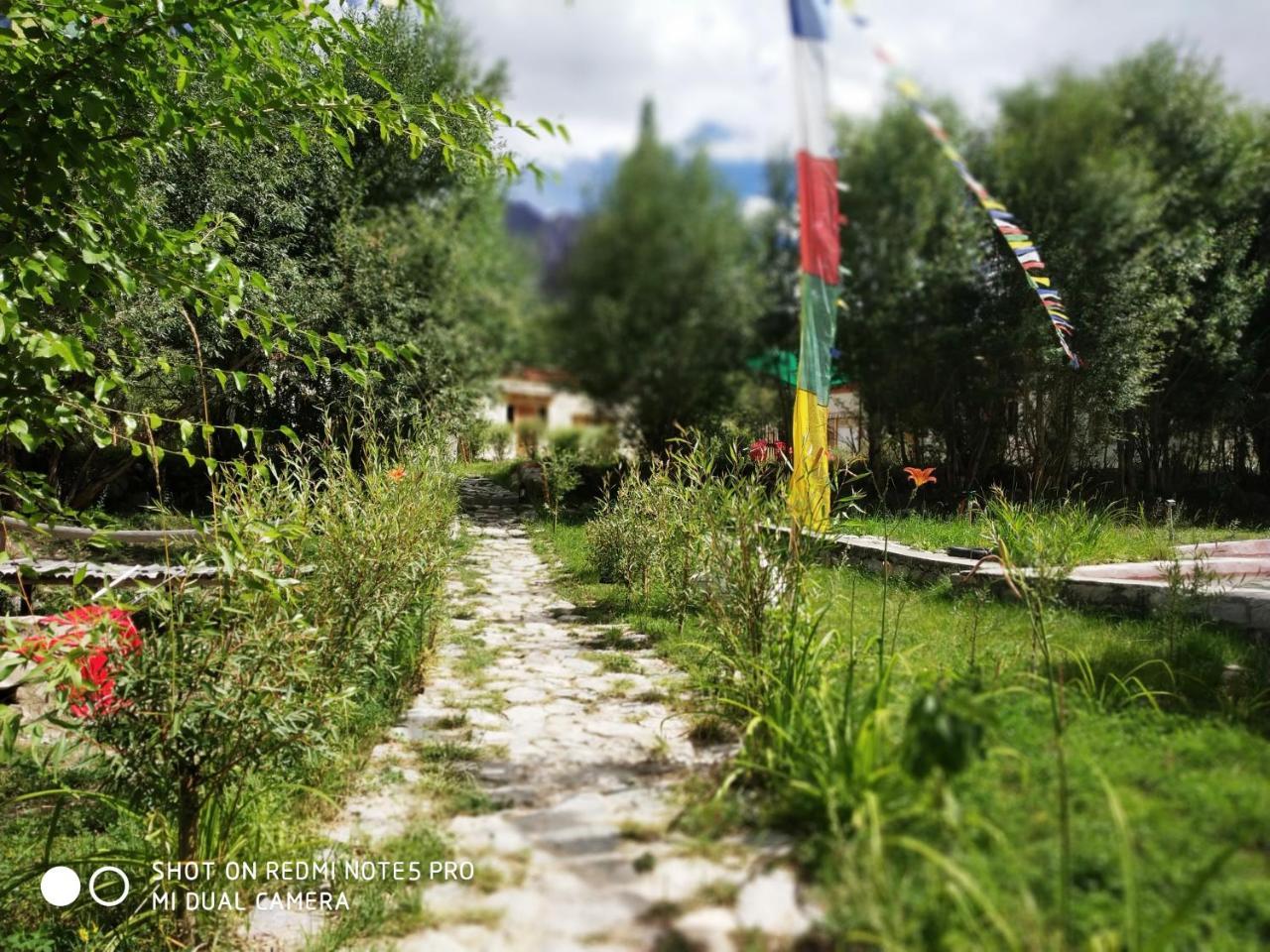 Lotus Eco Resort Hundar Bagian luar foto