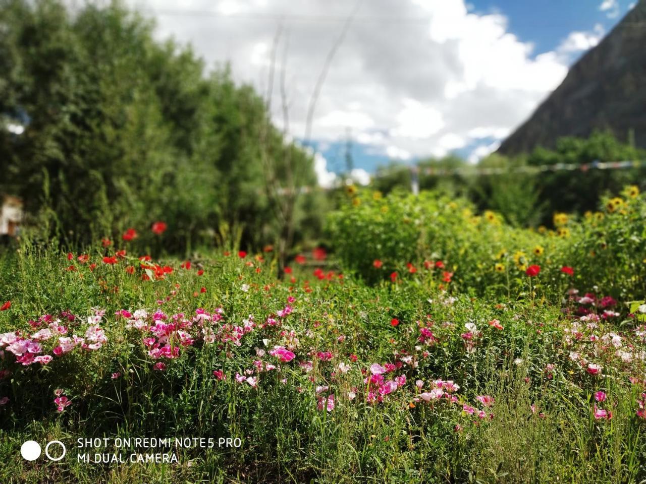 Lotus Eco Resort Hundar Bagian luar foto